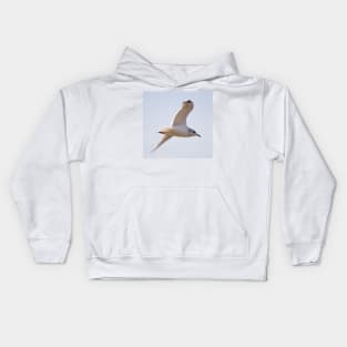 Black Headed Gull Kids Hoodie